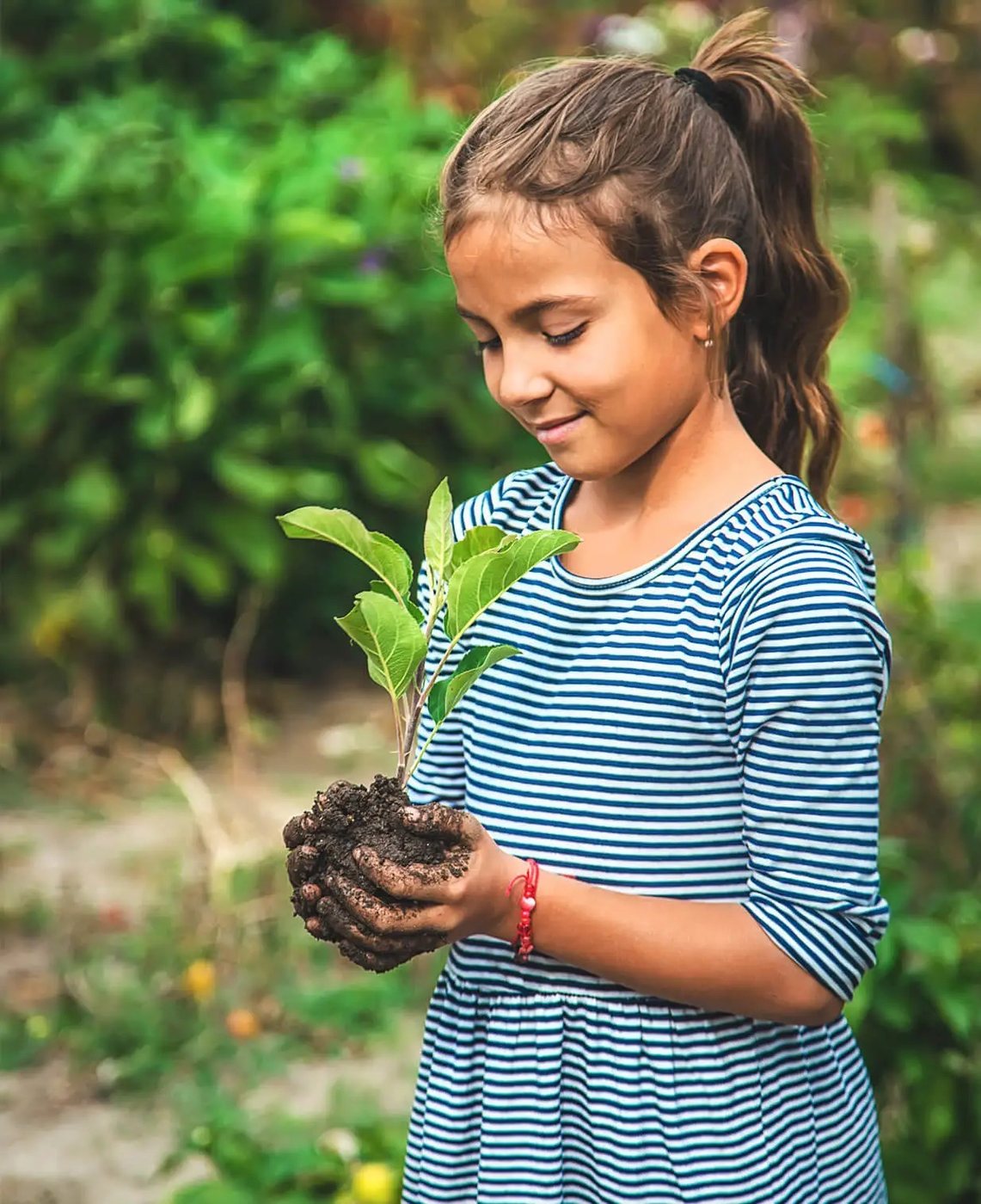 A seedling for tomorrow